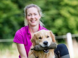 Hundetrainer 