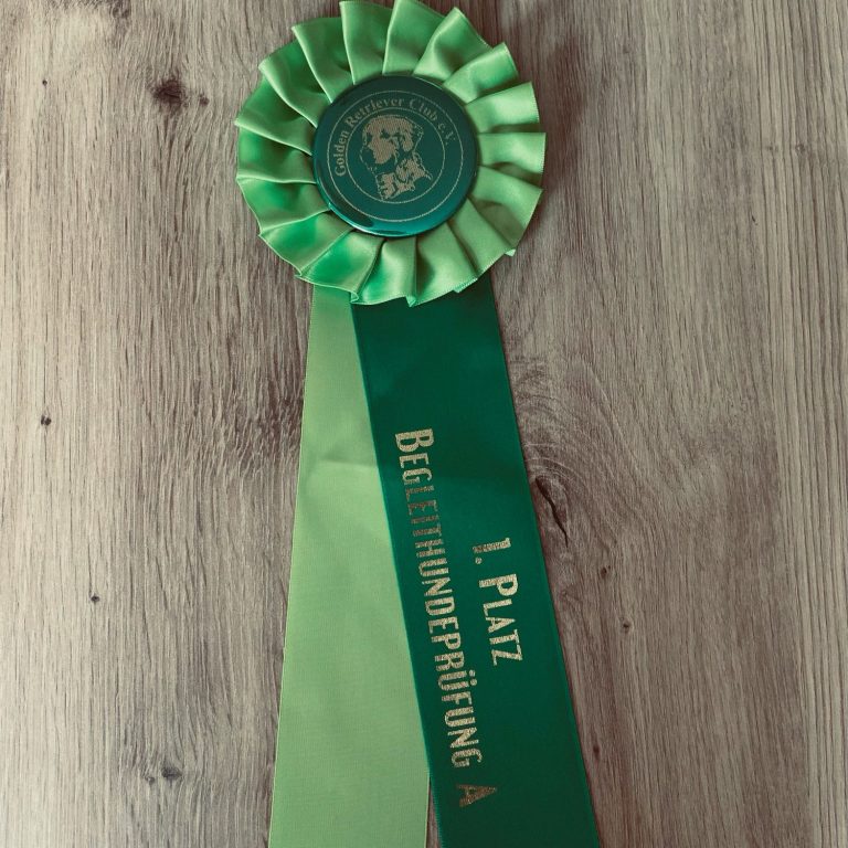 Hundetraining Trittau