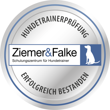 Hundeschule Trittau Kuddewörde